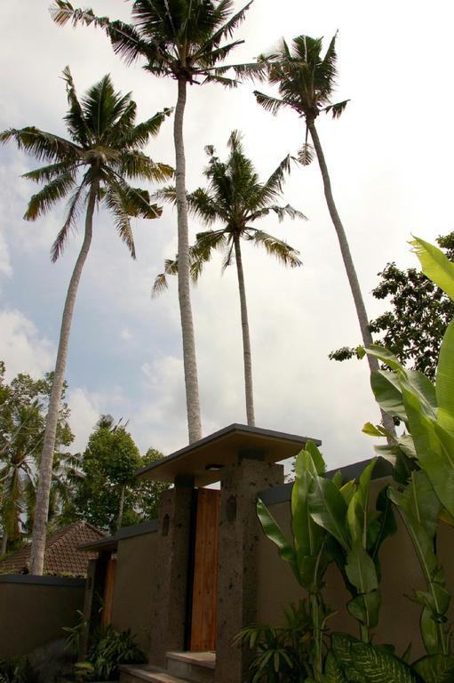 Villa Padma Ubud מראה חיצוני תמונה